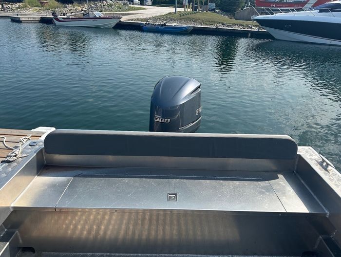 2021 Stanley 24 Raised Deck Photo 5 of 6
