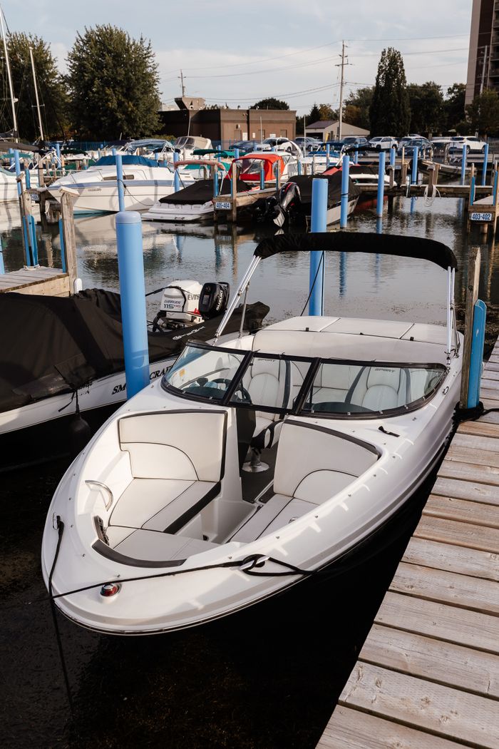 2012 Sea Ray 190 Sport Photo 5 of 27